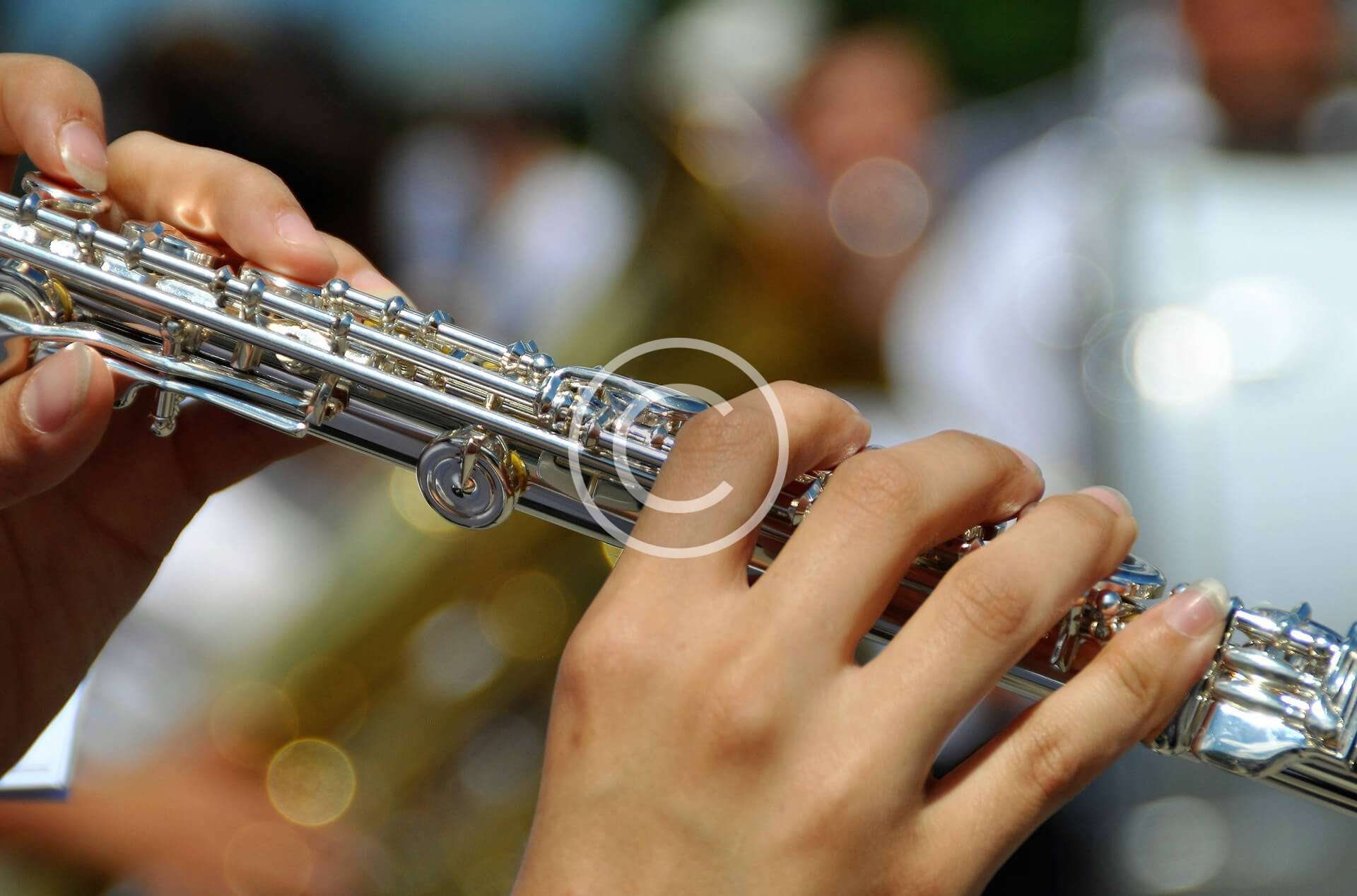 Flauta i Clarinet